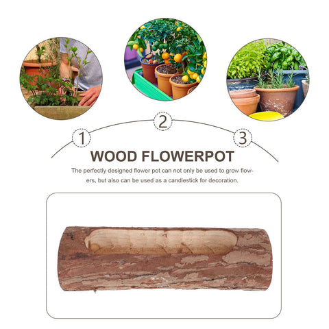 Planter Pot Flower Wooden Succulentbark Log Wood Driftwood Vase